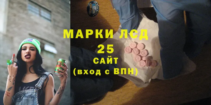 где купить наркотик  Приозерск  ЛСД экстази ecstasy 