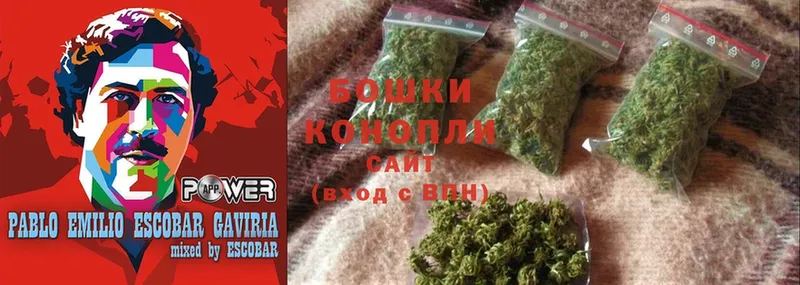 Бошки Шишки White Widow  Приозерск 